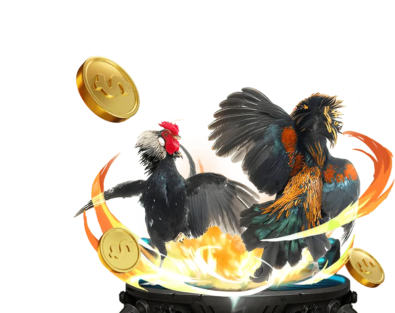 Tổng quan về các điều khoản dịch vụ của nền tảng cá cược